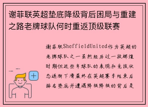 谢菲联英超垫底降级背后困局与重建之路老牌球队何时重返顶级联赛