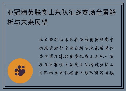 亚冠精英联赛山东队征战赛场全景解析与未来展望