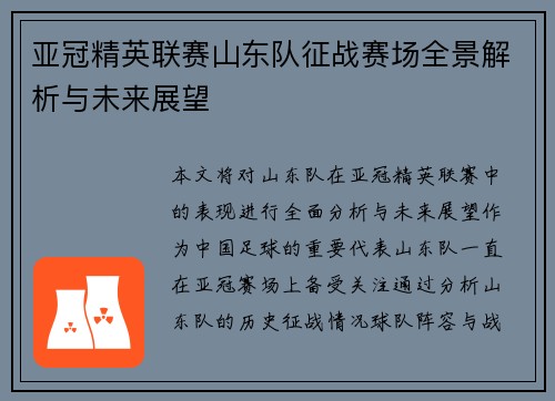 亚冠精英联赛山东队征战赛场全景解析与未来展望